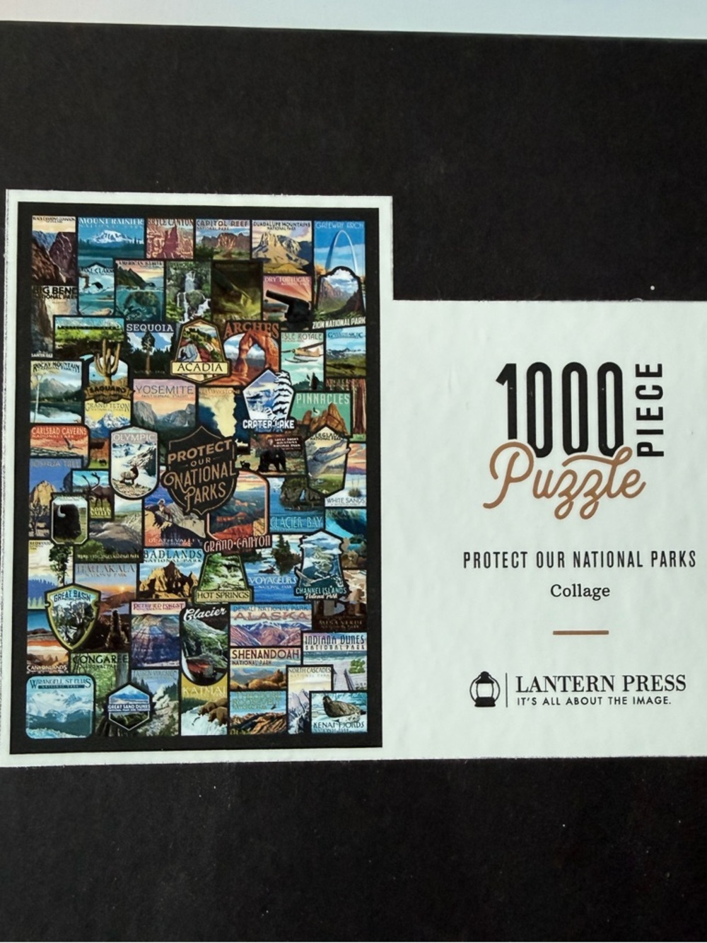 Lantern Press 1000-Piece Puzzle - Protect Our National Parks (Black/White)